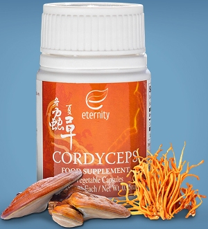cordyceps supplement